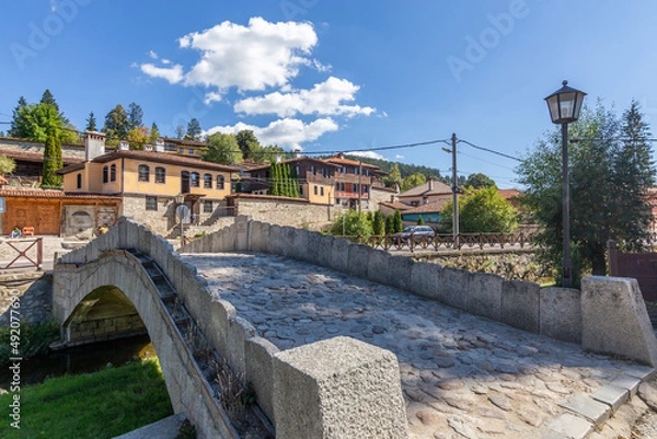 Obraz Ancient stone bridge with beautiful green grass