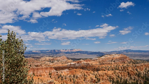 Obraz Tree escarpment background