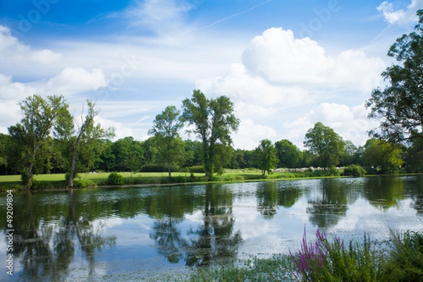 Fototapeta the cher river in the countryside in summer