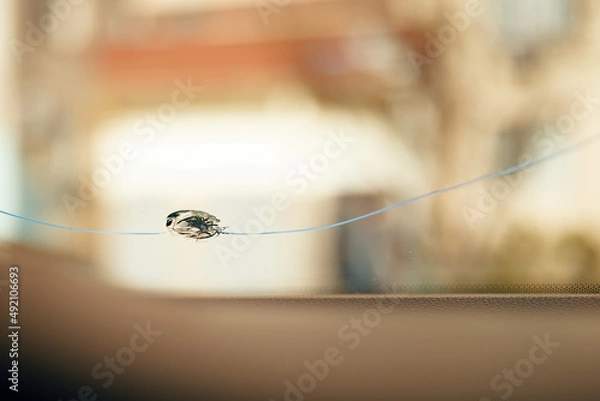 Obraz windshield chip, stone crack in glass