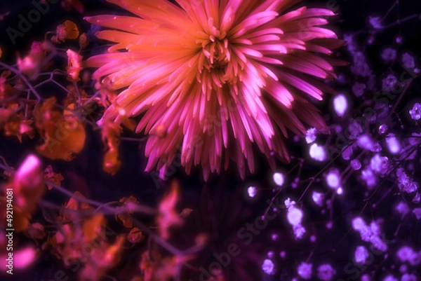 Fototapeta サイバーパンクな菊