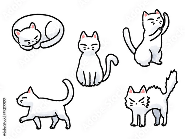 Fototapeta 猫ポーズセット