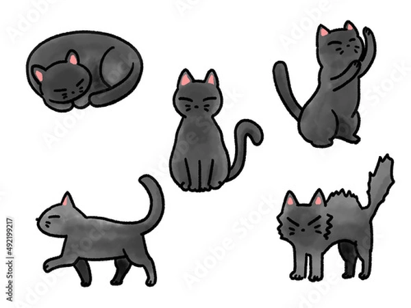 Fototapeta 猫ポーズセット