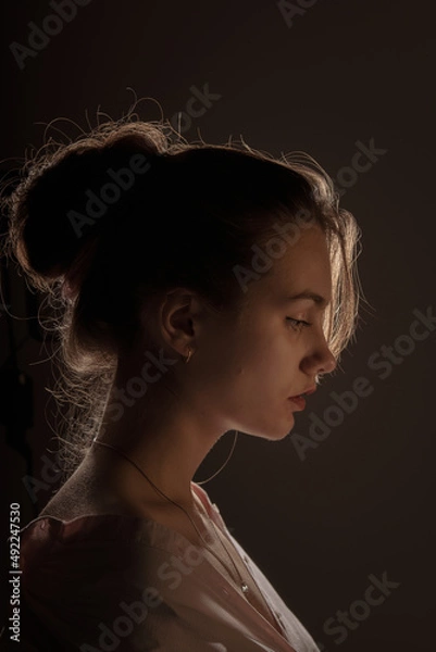 Obraz Beautifull woman portrait in warm light
