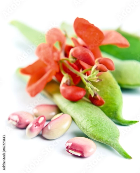 Fototapeta String beans