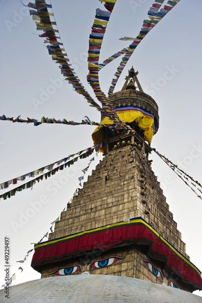 Obraz The biggest stupa of Kathmandu, Nepal