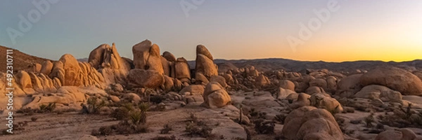 Fototapeta Joshua Tree National Park desert landscape in panoramic shot view. 