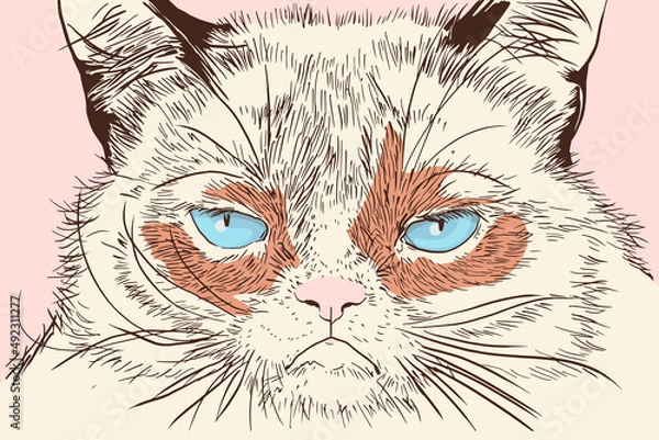 Fototapeta Abstract, minimalist portrait of a cat. Vector illustration in a flat style.
