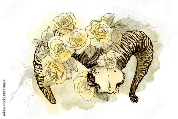 Fototapeta Ram skull in roses. Mystical, magical illustration in boho style.
