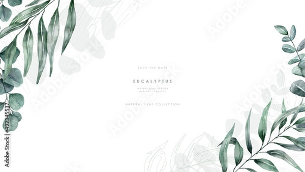 Obraz Watercolor eucalyptus background template vector design