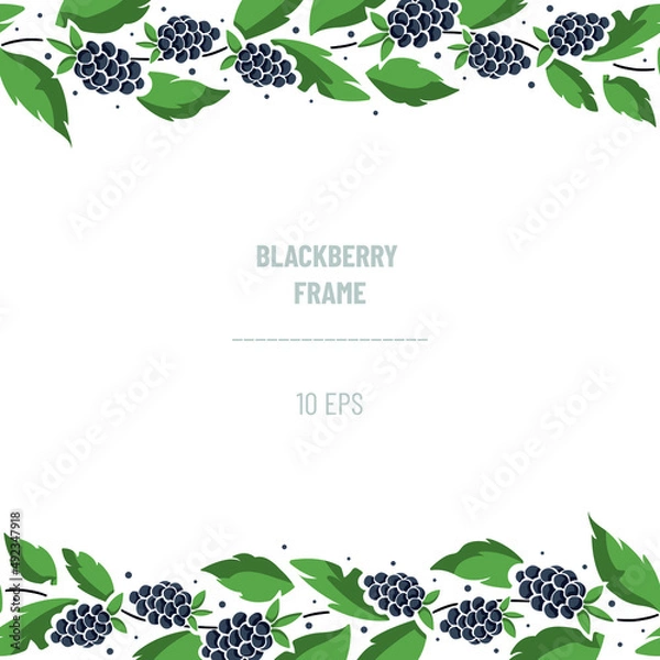 Fototapeta Horizontal border composition with blackberries on foliate twigs; perfect for greeting cards, posters, banners, invitations and other design. Vector illustration.