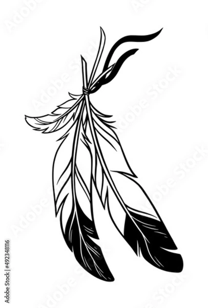 Obraz beautiful feathers