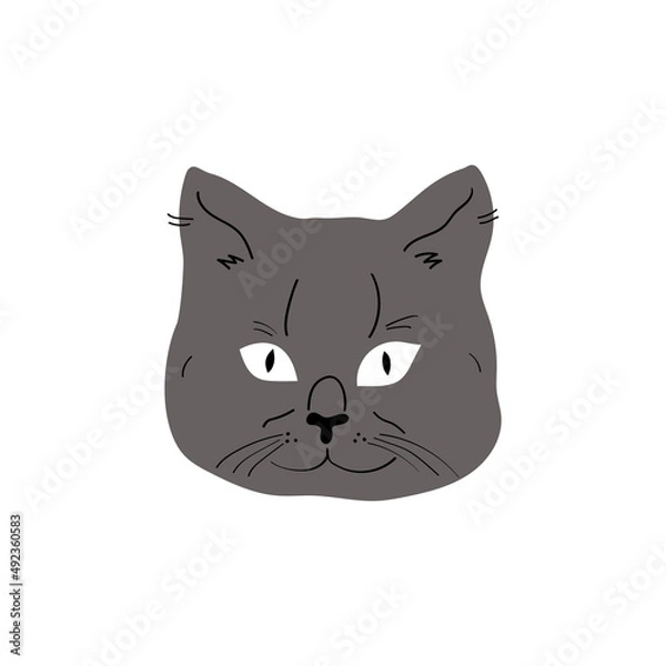 Fototapeta Cute and funny portraits of gray cat. Cartoon cat or kitten characters design with flat color. Set of purebred pet isolated on white background. Home pet, animal care concept. Vector illustration