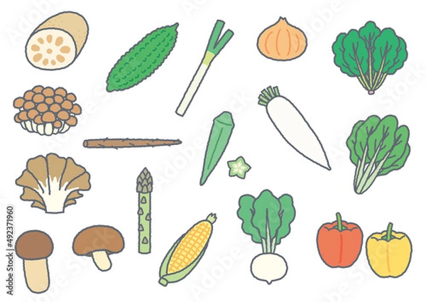 Obraz 野菜のイラスト2