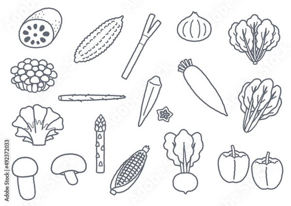 Obraz 野菜のイラスト2　線画
