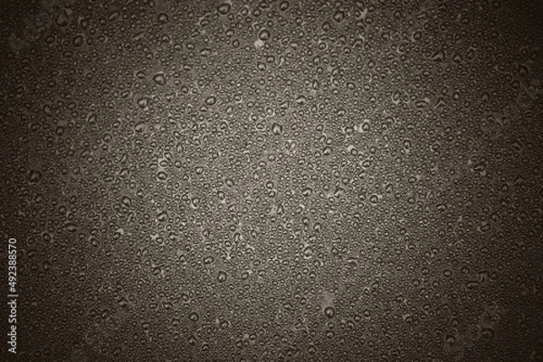 Fototapeta water drops pattern for background