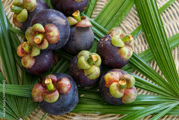 Fototapeta Pile of ripe mangosteen on wooden table background.