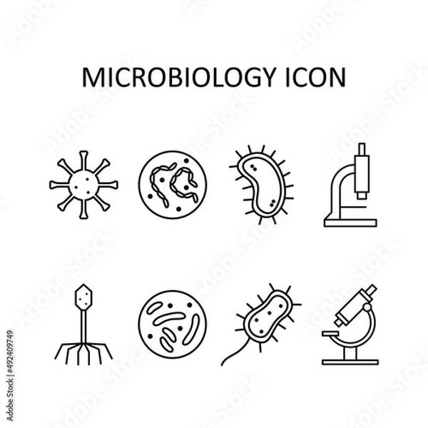Fototapeta Icons on the theme of microbiology - virus, microbe, bacterium, microscope, bacteriophage. Outline drawing