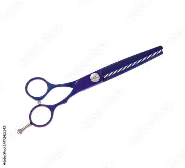 Obraz Scissors for cutting people and pets. Grooming scissors. Closed scissors on a white isolated background. Side view.