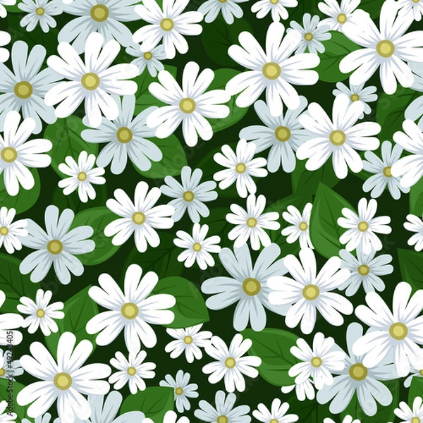 Fototapeta Seamless background with stellaria flowers. Vector illustration.