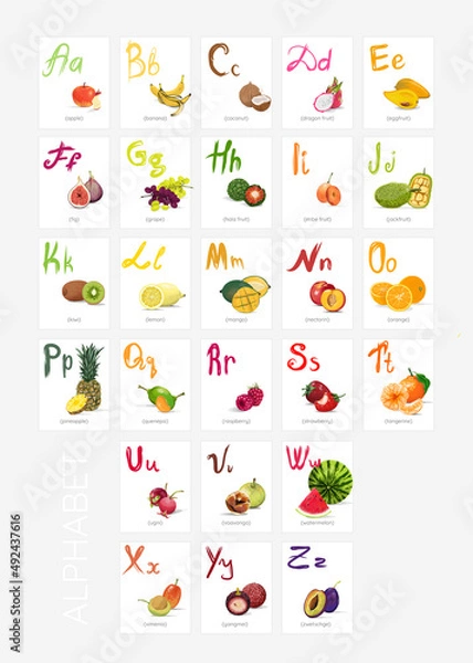 Fototapeta Alphabet with vector fruits on each card for word memorisation. Colourful educational material for primary school or kinder garden. Abc fruity learning