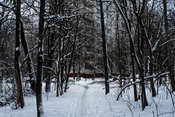 Obraz winter forest on a cloudy day