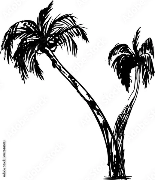 Obraz Two Grunge palm trees silhouettes, tropic graphic ink illustration