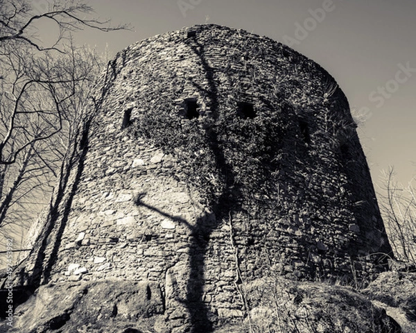 Obraz Ruins of the medieval castle Chojnik