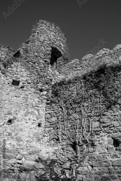 Obraz Ruins of the medieval castle Chojnik