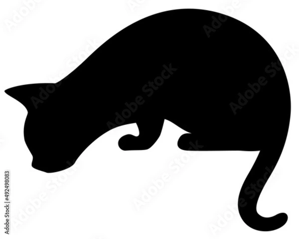 Obraz ネコのシルエットイラスト1