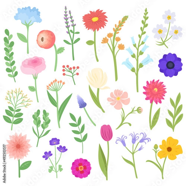 Fototapeta Set of spring flowers and plants, vector