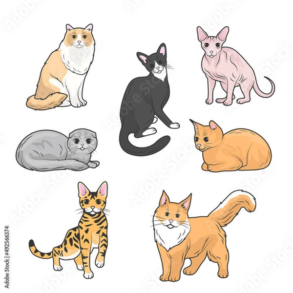 Obraz Fanny cartoon cats in different poses. Domestic cats sleeping and walking, sitting and playing, happy and sad kitten vector icons on white background