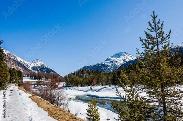 Fototapeta Pontresina, Berninabach, Berninapass, Val Bernina, Winter, Wintersport, Wanderweg, Langlauf, Langlaufloipe, Oberengadin, Graubünden, Alpen, Schweiz