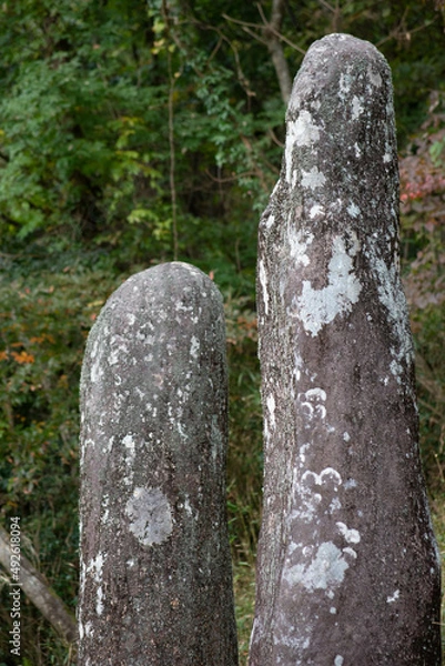 Fototapeta 宇佐市（安心院町）　佐田京石