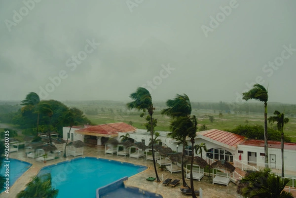 Fototapeta Storm, wind, rain outside the window.