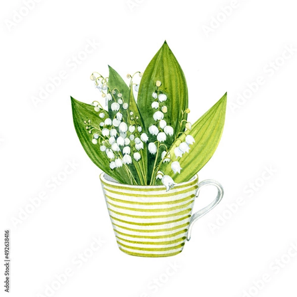 Obraz Lilies of the valley. Watercolor illustration. Bouquet in a striped cup. White spring flowers.
