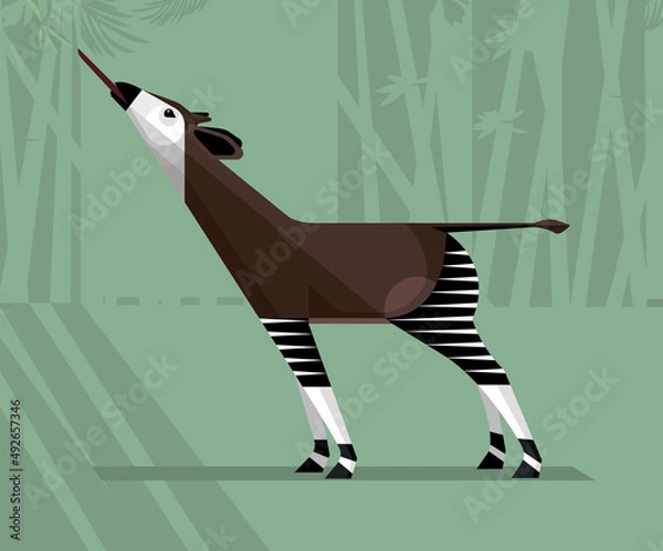 Obraz Okapi