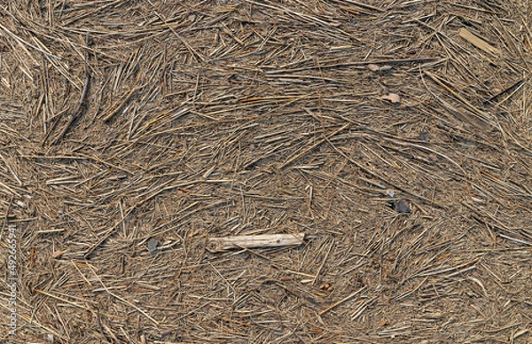 Fototapeta Tightly compacted and dense stick debris detritus pattern background deposited by wind and water