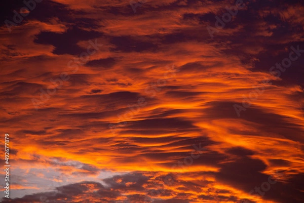 Obraz red sky background