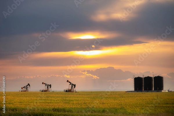 Fototapeta Three crude oil pump jacks and storage tanks in a canola field in a summer countryside landscape