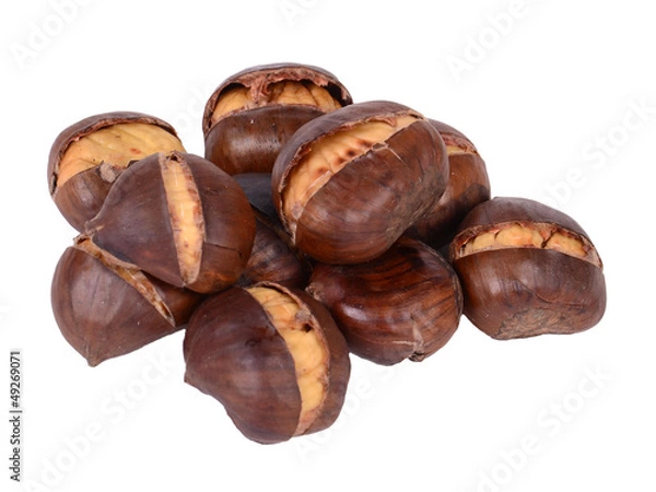 Obraz gorące kasztany