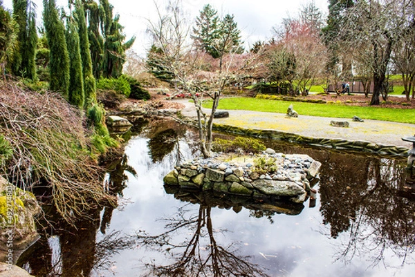Fototapeta river in the park