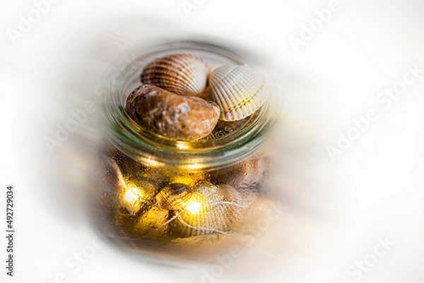 Obraz on a white background, shells encased in a glass container