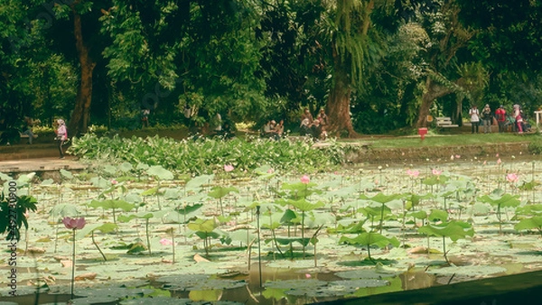 Obraz park in the park