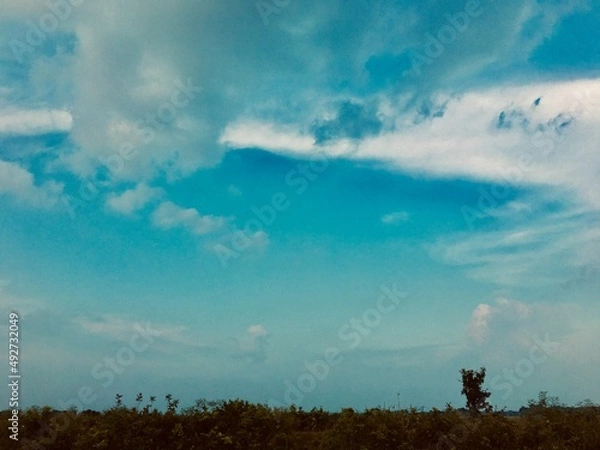 Obraz person in the field