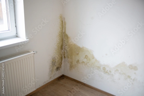 Obraz strong mildew in large stains is located on white interior wall in apartment