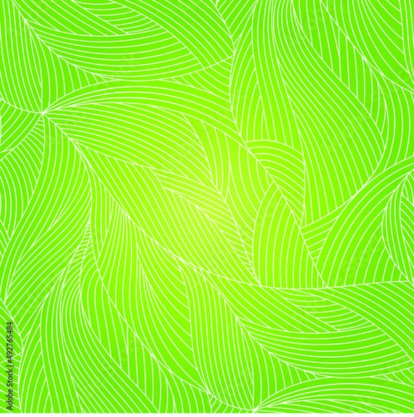 Fototapeta PATTERN and BACKGROUND