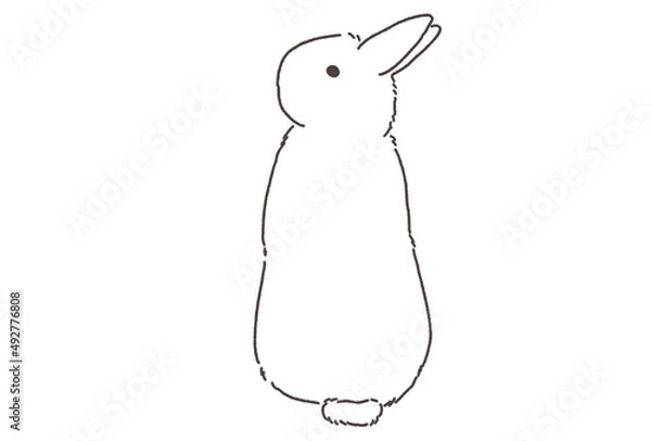 Obraz うさぎのシンプルな線画イラスト-単品11
