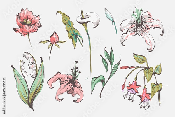Obraz Set of floral elements. Flower and green leaves. Wedding concept - flowers. Floral poster, invite. Vector arrangements for greeting card or invitation design.