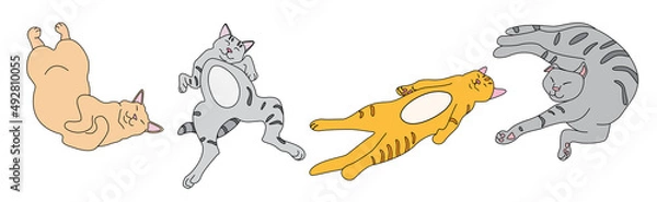Fototapeta Funny cartoon cats lying in different positions on a white background 